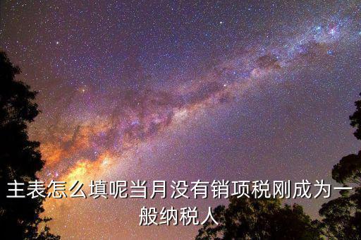主表怎么填呢當(dāng)月沒(méi)有銷項(xiàng)稅剛成為一般納稅人