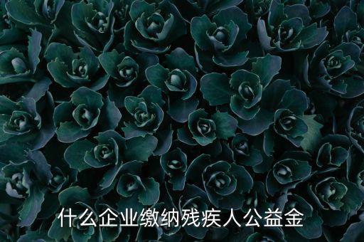 什么企業(yè)需申報(bào)殘疾人保障金，哪些單位應(yīng)該繳納殘疾人保障基金