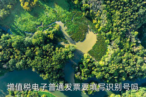 增值稅電子普通發(fā)票要填寫識別號嗎
