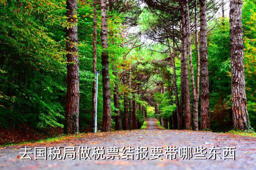 去國稅局做稅票結(jié)報(bào)要帶哪些東西