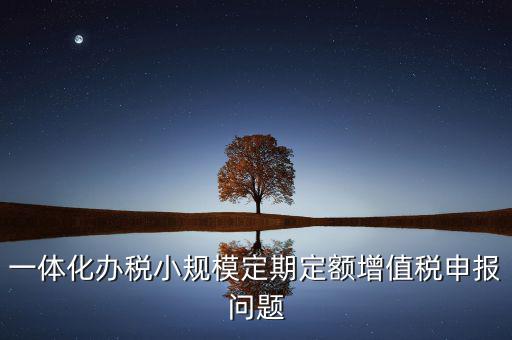 非定期定額戶申報(bào)是什么意思，一體化辦稅小規(guī)模定期定額增值稅申報(bào)問(wèn)題