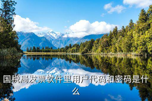 國稅用戶密碼是什么，你好我想問你 一下 網(wǎng)上國稅的用戶名和密碼是什么