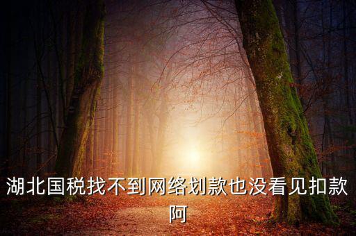 湖北國稅找不到網絡劃款也沒看見扣款阿