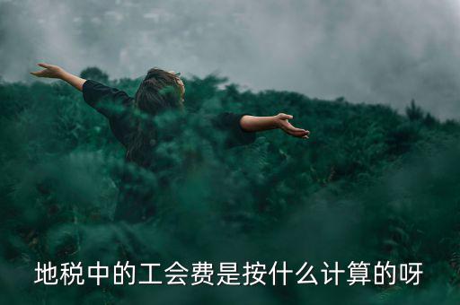 地稅代征的工會經費按什么計算，地稅中的工會費是按什么計算的呀