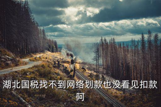 湖北省國(guó)稅局四個(gè)確保是什么，湖北國(guó)稅找不到網(wǎng)絡(luò)劃款也沒(méi)看見(jiàn)扣款阿