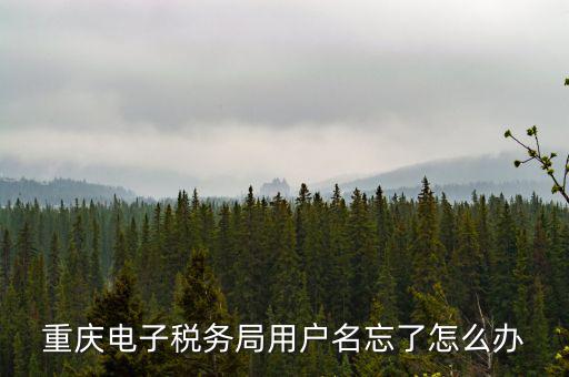 重慶電子稅務(wù)局的網(wǎng)址是什么意思，重慶市國稅電子申報委托繳稅的網(wǎng)址