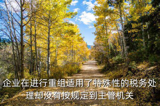 特殊重組什么時(shí)候備案，企業(yè)在進(jìn)行重組適用了特殊性的稅務(wù)處理卻沒(méi)有按規(guī)定到主管機(jī)關(guān)