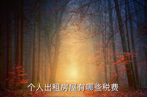 出租自建房屋交什么稅，自建廠房出租須交納什么稅