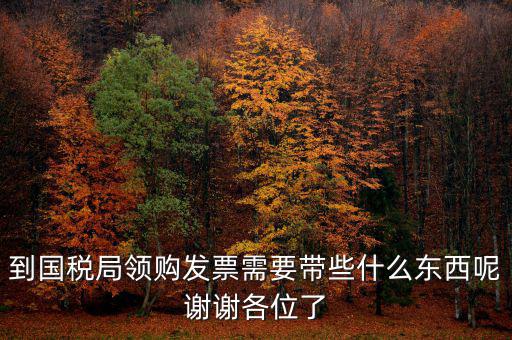 去國(guó)稅領(lǐng)發(fā)票需要帶什么，國(guó)稅領(lǐng)取發(fā)票需帶什么材料不是初次領(lǐng)購(gòu)