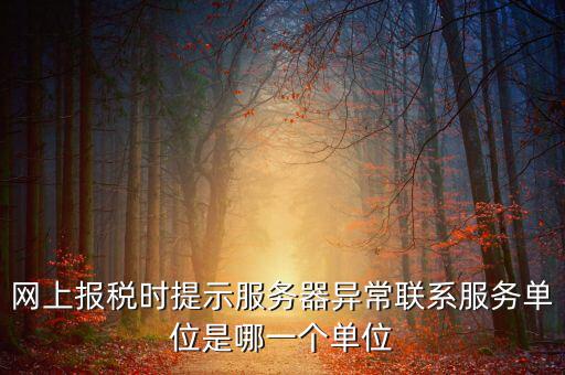 網(wǎng)上報稅時提示服務器異常聯(lián)系服務單位是哪一個單位
