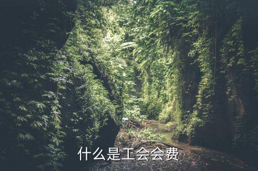 什么企業(yè)交工會(huì)經(jīng)費(fèi)，繳工會(huì)經(jīng)費(fèi)的依據(jù)是什么