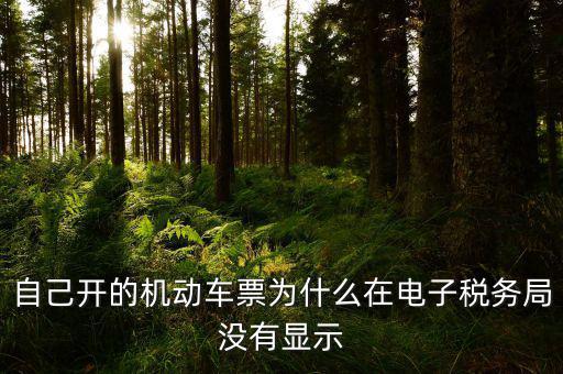 為什么登錄電子稅務(wù)局沒有反映，自己開的機(jī)動車票為什么在電子稅務(wù)局沒有顯示