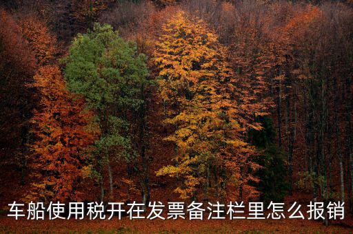 車船使用稅為什么在發(fā)票備注欄，保險(xiǎn)公司代收的車船稅稅款是填在備注欄里的么