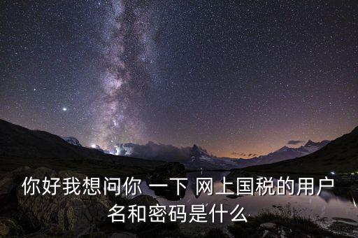 網(wǎng)上稅務辦理密碼是什么意思，國稅第一次網(wǎng)上申報的登陸密碼是什么
