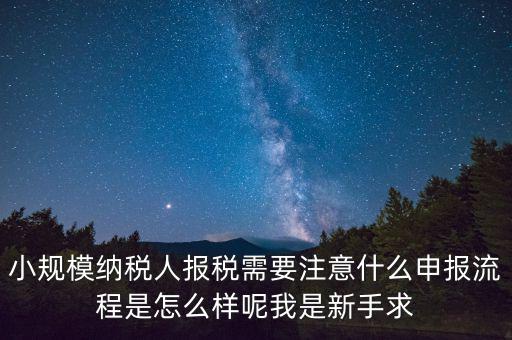 報稅需要注意什么手續(xù)，一般納稅人每個月怎么報稅報稅時要注意什么流程是怎么樣的