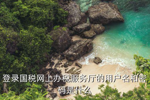 河北省地稅登陸的用戶名是什么，登錄國稅網(wǎng)上辦稅服務(wù)廳的用戶名和密碼是什么