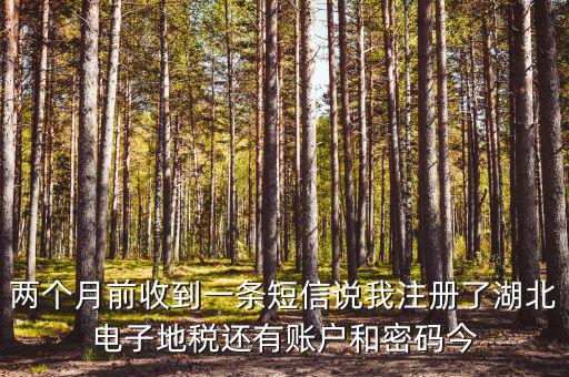 地稅什么時(shí)候會(huì)給電子稅務(wù)密碼，報(bào)地稅的時(shí)候登陸密碼每天有幾次輸入機(jī)會(huì)