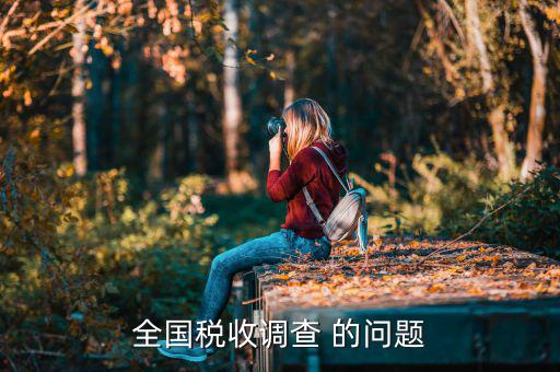 全國稅收調查 的問題
