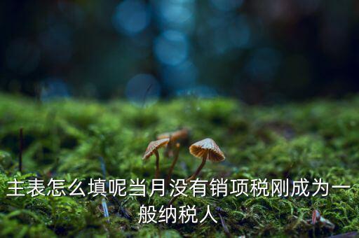 一般納稅人主表是什么意思，一般納稅人申報表主表的申明人必須輸入是什么意思