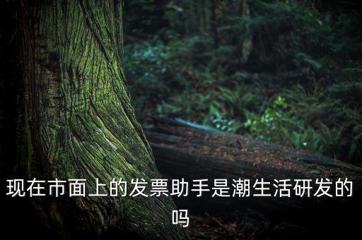 國稅發(fā)票助手是干什么的，現(xiàn)在市面上的發(fā)票助手是潮生活研發(fā)的嗎