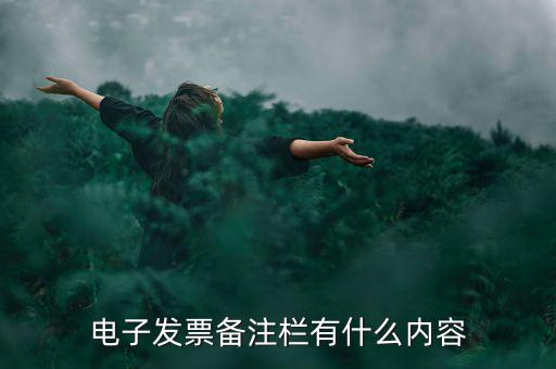 電子發(fā)票都寫什么資料嗎，電子發(fā)票備注欄有什么內容