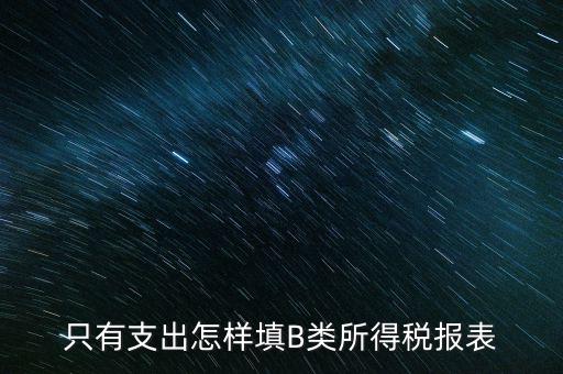 個(gè)人生產(chǎn)經(jīng)營(yíng)所得B表稅金填什么，只有支出怎樣填B類所得稅報(bào)表