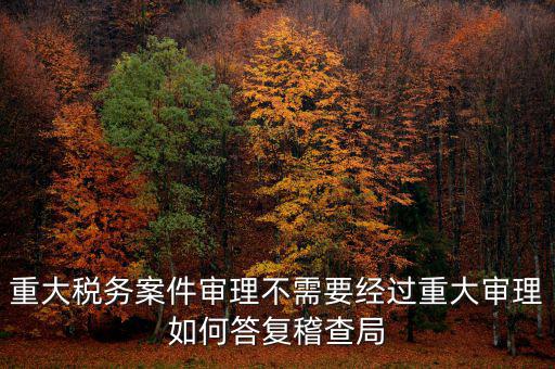 重大稅務案件審理不需要經(jīng)過重大審理如何答復稽查局
