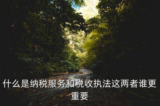 地稅納服是做什么，求助地稅納稅服務(wù)這個(gè)崗位有發(fā)展前景么