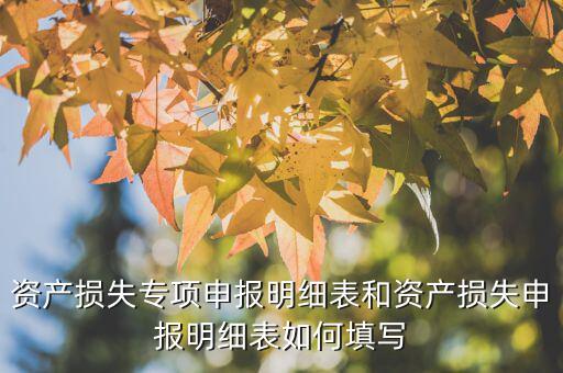 什么是專項(xiàng)資產(chǎn)損失申報(bào)表，所得稅申報(bào)表怎么填22資產(chǎn)損失