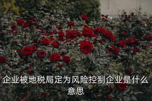 稅收風(fēng)險控制是什么，稅務(wù)風(fēng)險管理的稅務(wù)風(fēng)險管理制度