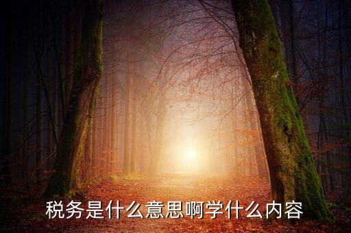 稅務中介是什么，稅務師事務所屬于什么行業(yè)