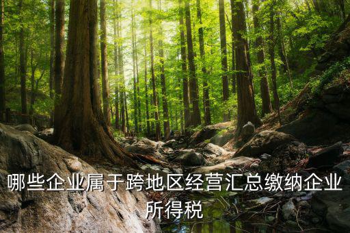 跨地區(qū)經(jīng)營(yíng)匯總納稅指的是什么，哪些企業(yè)屬于跨地區(qū)經(jīng)營(yíng)匯總繳納企業(yè)所得稅