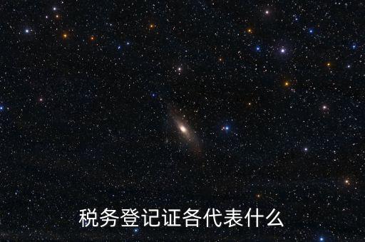 什么稅務(wù)登記證，什么是稅務(wù)登記證
