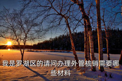 深圳外經(jīng)證核銷需要什么資料，我是羅湖區(qū)的請(qǐng)問辦理外管核銷需要哪些材料