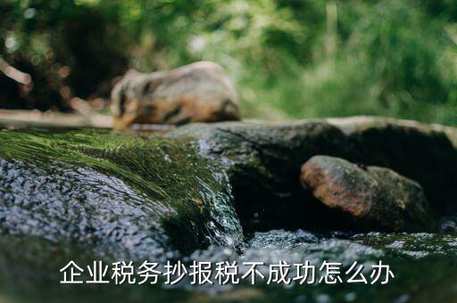 企業(yè)稅務(wù)抄報(bào)稅不成功怎么辦