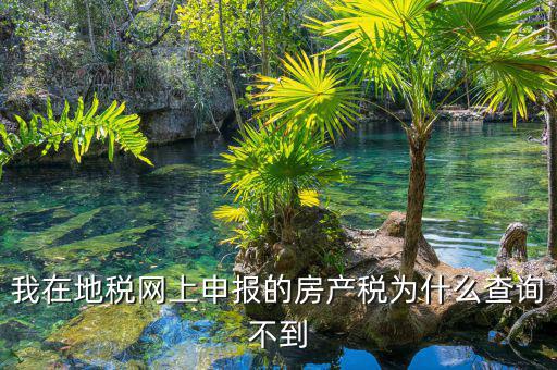 地稅申報(bào)信息查不到是什么原因，地稅報(bào)稅時(shí)提示納稅人信息不存在是怎么回事