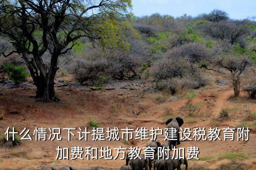 什么情況下免交地方教育稅附加，什么情況下計提城市維護建設(shè)稅教育附加費和地方教育附加費