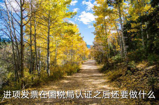 稅務(wù)認(rèn)定之后做什么，新辦企業(yè)稅務(wù)登記證下來后接下來會(huì)計(jì)該做些什么工作