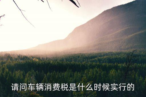 小汽車什么時(shí)候征消費(fèi)稅，請問車輛消費(fèi)稅是什么時(shí)候?qū)嵭械?/></a></span><span id=