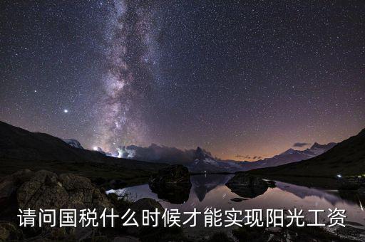 請(qǐng)問國(guó)稅什么時(shí)候才能實(shí)現(xiàn)陽光工資
