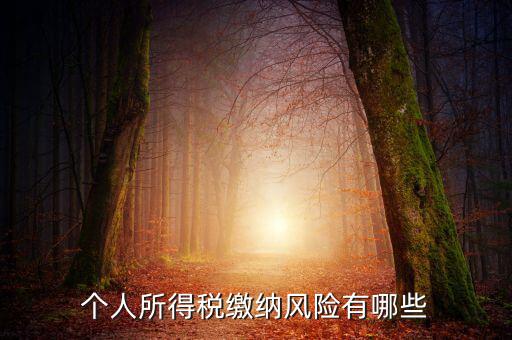所得稅申報(bào)時(shí)有什么風(fēng)險(xiǎn)提示，個(gè)人所得稅繳納風(fēng)險(xiǎn)有哪些