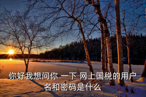 電子稅務(wù)的賬號密碼是什么，你好我想問你 一下 網(wǎng)上國稅的用戶名和密碼是什么