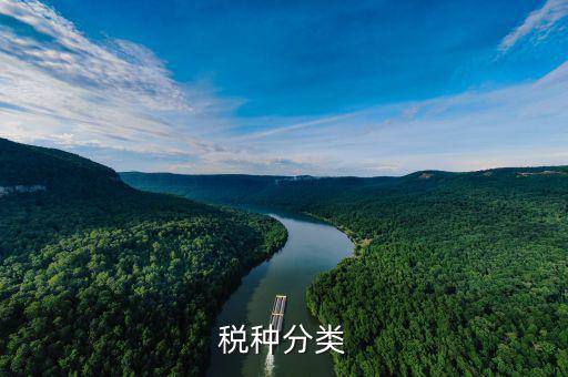鋁制品稅收分類屬于什么，鋁蓋屬于稅收分類的哪一種