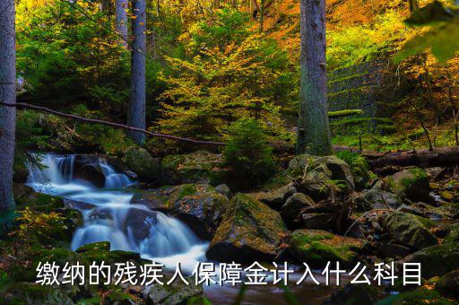 殘疾人就業(yè)保障金稅目是什么，殘疾人就業(yè)保障金應計什么會計科目