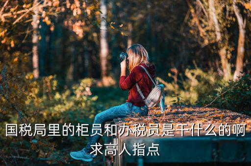 國(guó)稅局導(dǎo)稅員干什么的，國(guó)稅局里的柜員和辦稅員是干什么的啊求高人指點(diǎn)