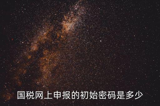 國稅網上申報的初始密碼是多少
