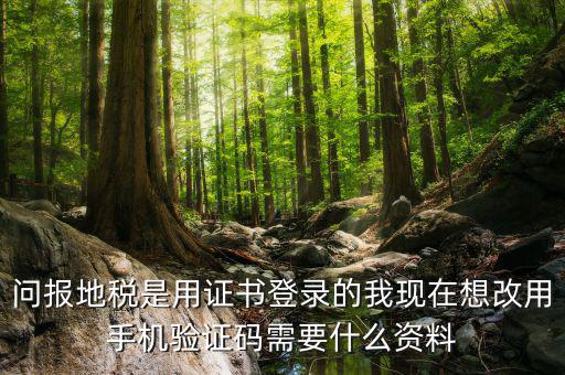 湖南地稅什么叫證書登陸，地稅數(shù)字證書是什么