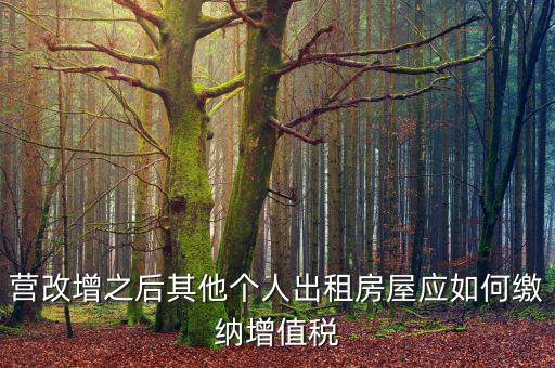 營改增之后其他個人出租房屋應如何繳納增值稅