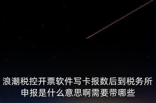 浪潮稅控開票軟件寫卡報(bào)數(shù)后到稅務(wù)所申報(bào)是什么意思啊需要帶哪些