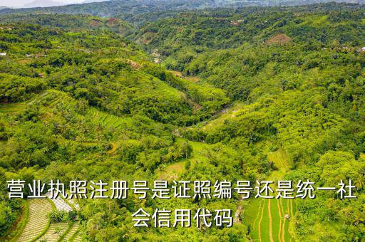營業(yè)執(zhí)照注冊(cè)號(hào)是證照編號(hào)還是統(tǒng)一社會(huì)信用代碼